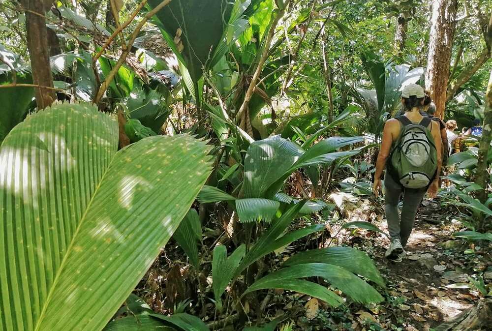 Trekking Seychelles