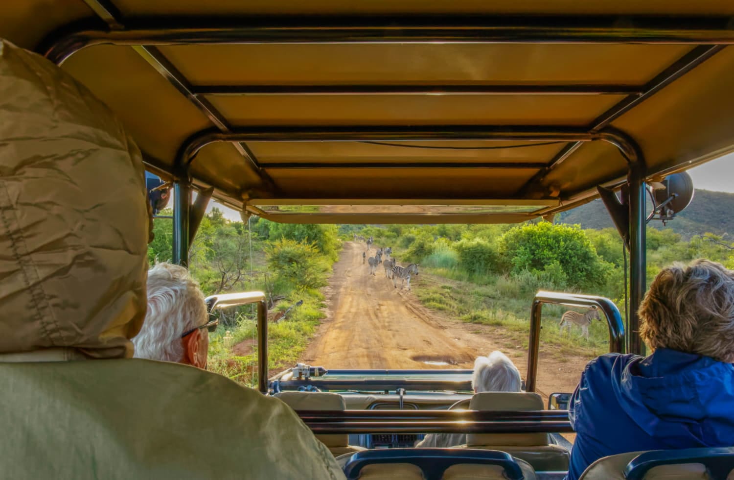 Game drive safari