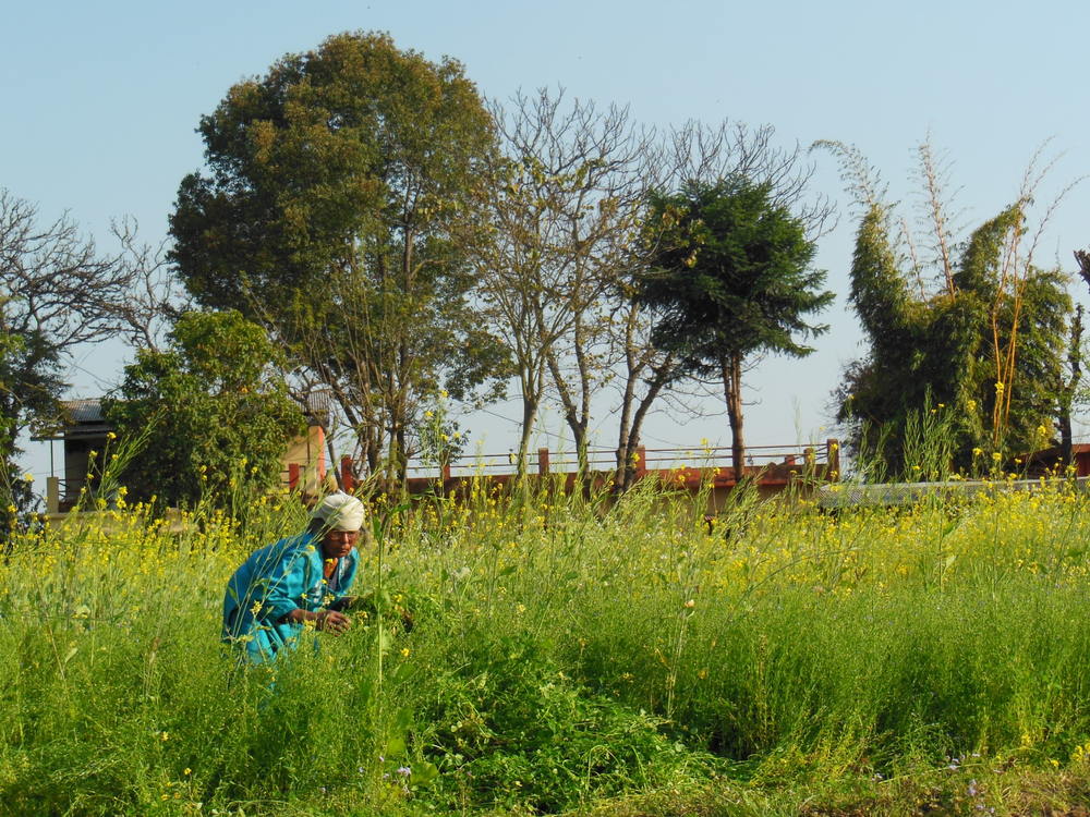 Università della Terra vandana Shiva